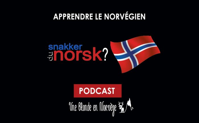 Apprendre le norvégien (Podcast audio) - Une blonde en Norvège