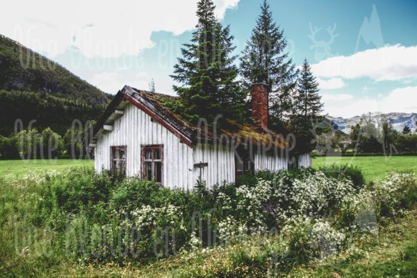 aison avec des arbres sur le toit - Une Blonde en Norvège