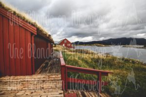 Hytte à toit végétal - Une blonde en Norvège