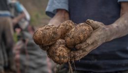 Vacances des patates - Une blonde en Norvège