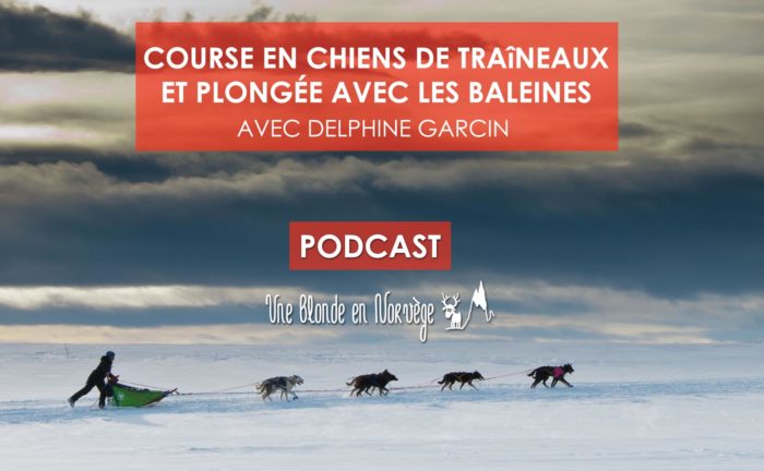 Plongée avec les baleines - Une blonde en Norvège