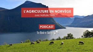 L'agriculture en Norvège - Une blonde en Norvège