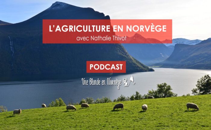 L'agriculture en Norvège - Une blonde en Norvège