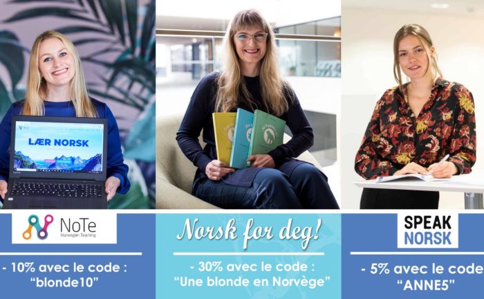 Comparatif de 3 écoles de norvégien - Une blonde en Norvège