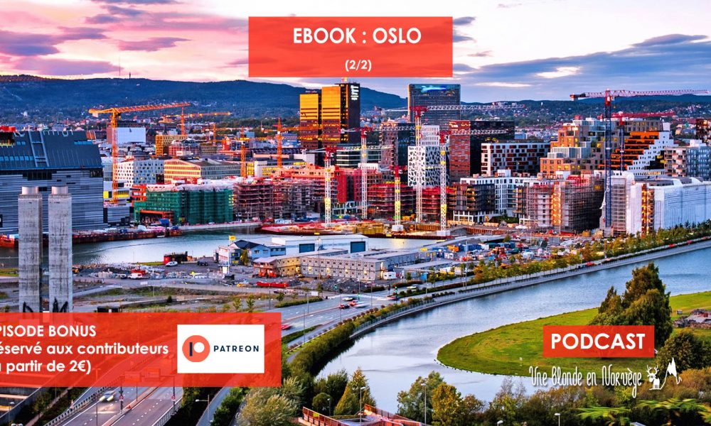 Ebook : Oslo - Une blonde en Norvège