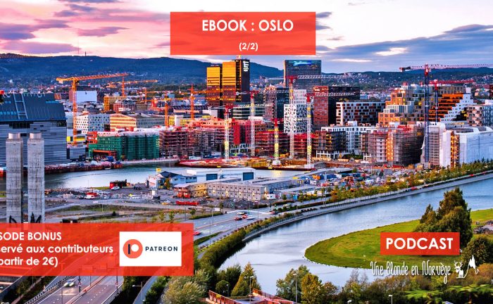 Ebook : Oslo - Une blonde en Norvège