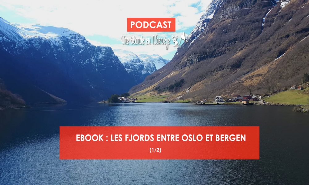 Ebook Fjords - Une blonde en Norvège