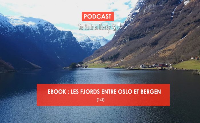 Ebook Fjords - Une blonde en Norvège