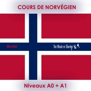 Niveaux A0 + A1 - Une blonde en Norvège