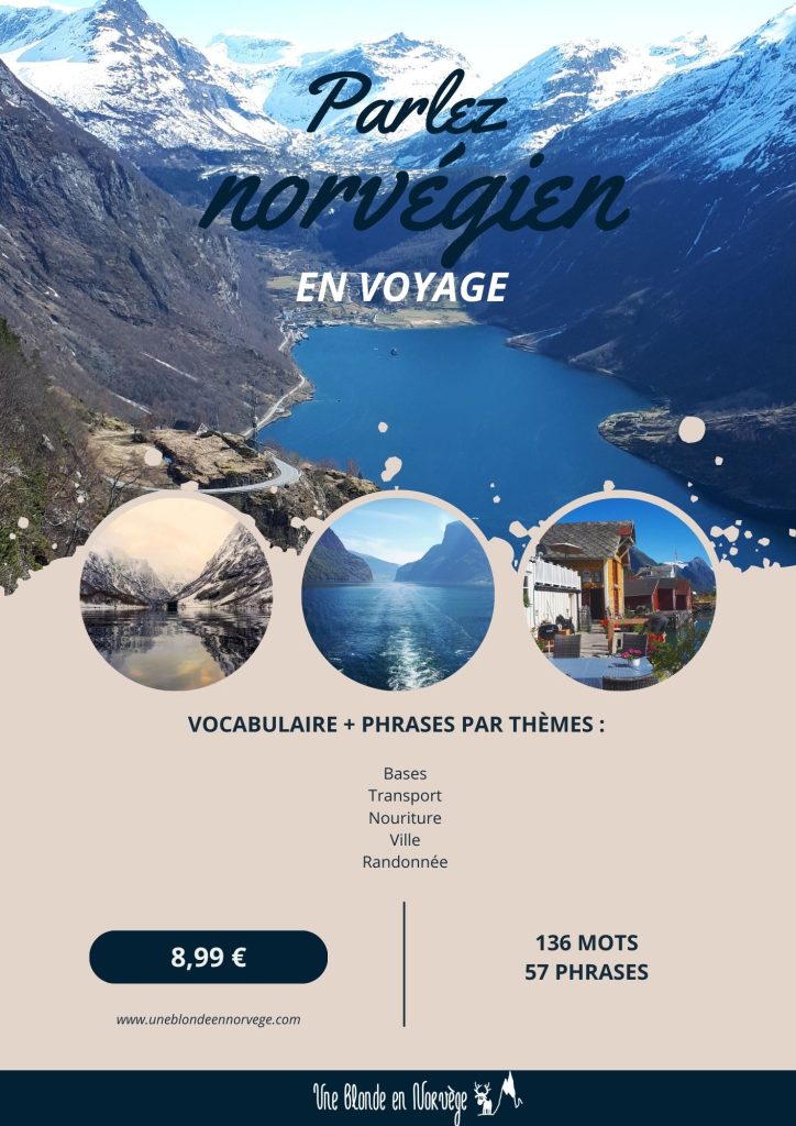 Parlez norvégien en voyage (8,99€)