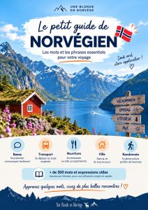 Petit guide de norvégien