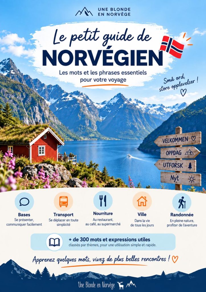 Petit guide de norvégien