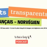 1000 mots transparents + 55 faux amis (Podcast)