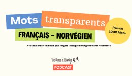 1000 mots transparents + 55 faux amis (Podcast)