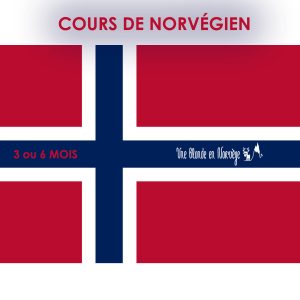 Cours de norvégien en français A2 - Une blonde en norvège