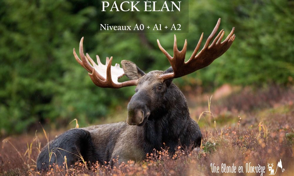 Cours de norvégien en français - Une blonde en norvège