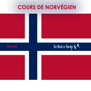 Cours de norvégien en français A2 - Une blonde en norvège