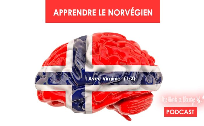 Apprendre le norvégien - Une blonde en Norvège