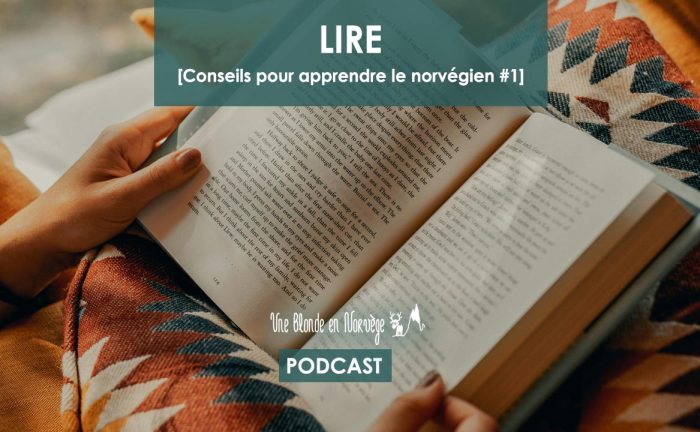 Conseil - Lire - Une blonde en Norvège