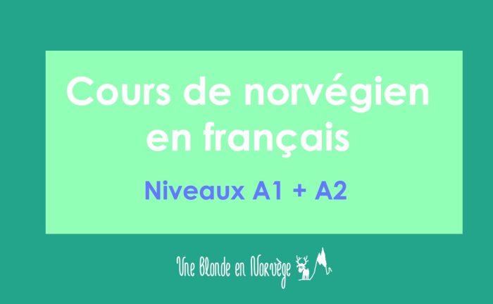 Cours de norvégien en français A1 + A2 - Une blonde en Norvège