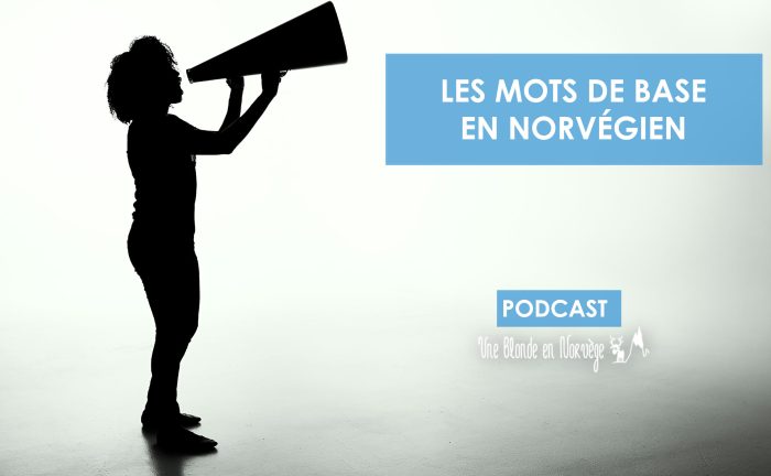 Les mots de base en norvégien - Une blonde en Norvège