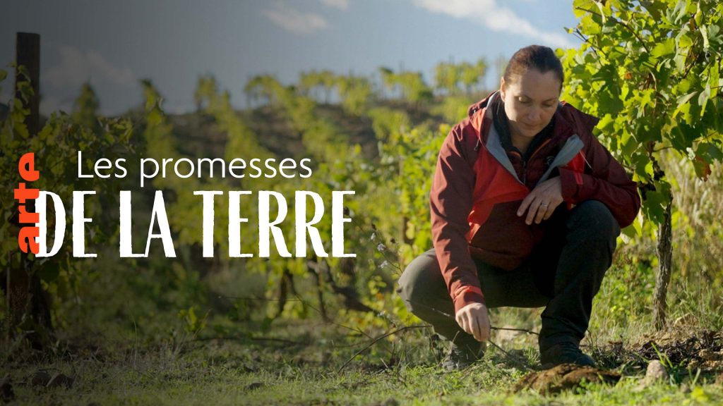 Les promesses de la terre - Une blonde en norvège