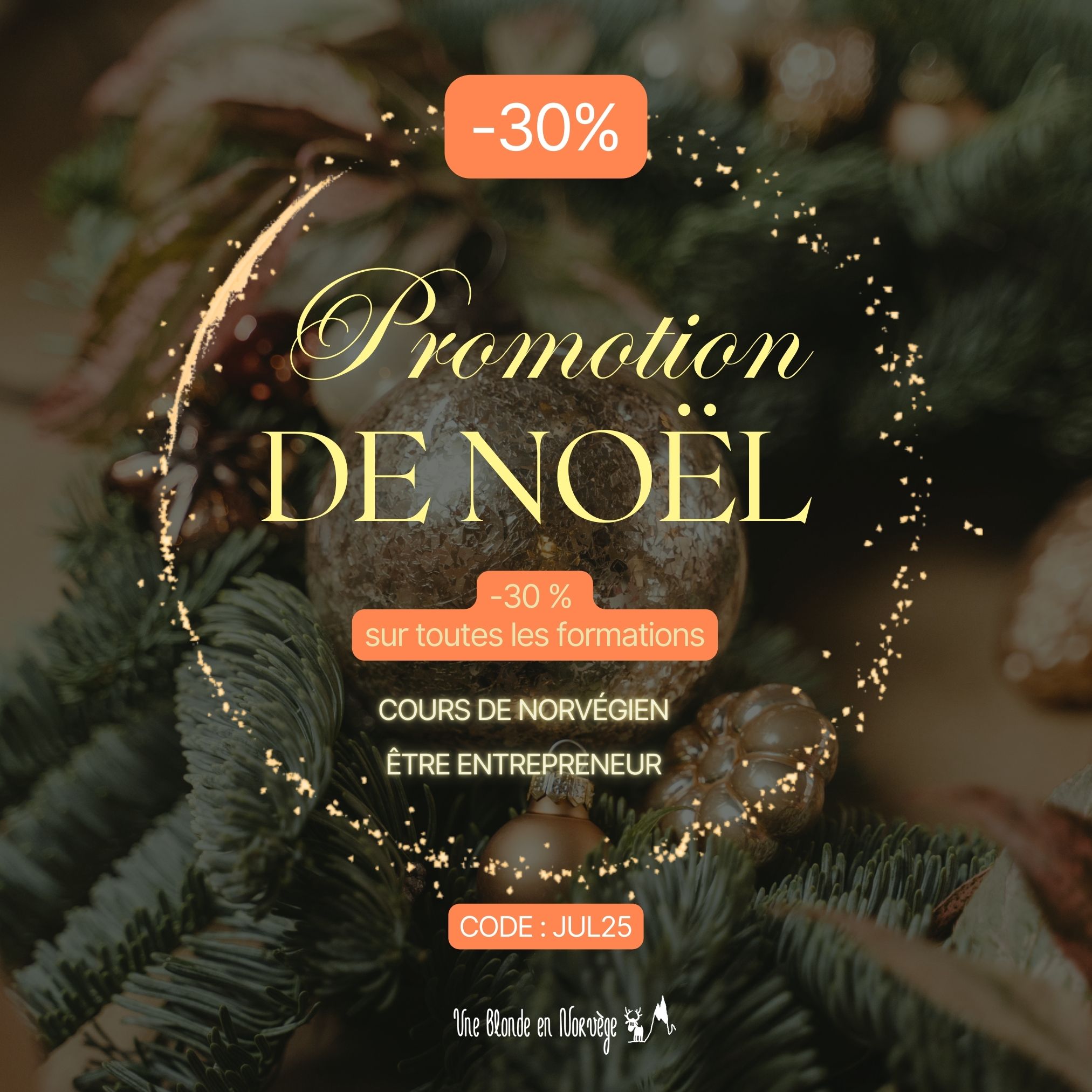 Promo Noël 2025 - Une blonde en Norvège