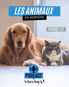 Les animaux en Norvège (1/2) - Une blonde en Norvège