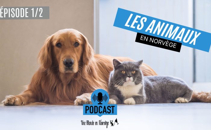 Les animaux en Norvège (1/2) - Une blonde en Norvège