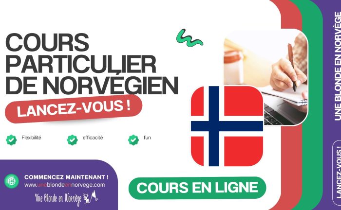 Cours particulier de norvégien - Une blonde en Norvège