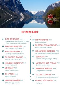 Guide pour préparer son voyage en Norvège - Une blonde en Norvège