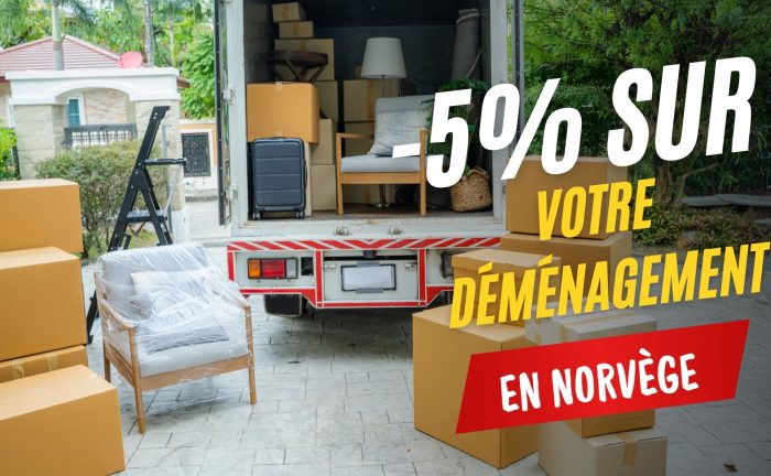 -5% sur votre déménagement - Une blonde en Norvège