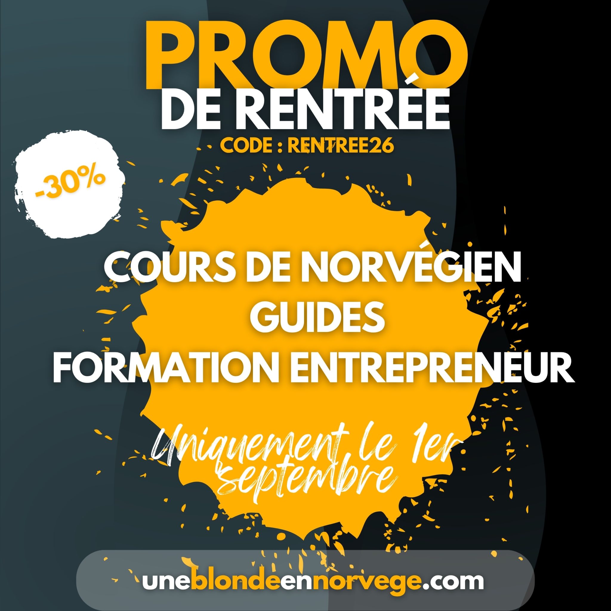 Promo flash -30% - Une blonde en Norvège