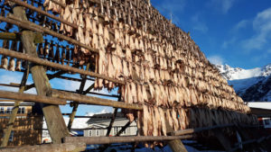 Séchoir à poissons - Une blonde en Norvège