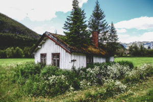 aison avec des arbres sur le toit - Une Blonde en Norvège